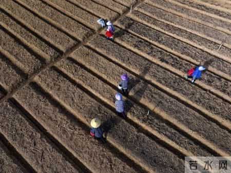 广西同时出现干旱和洪涝？专家分析→