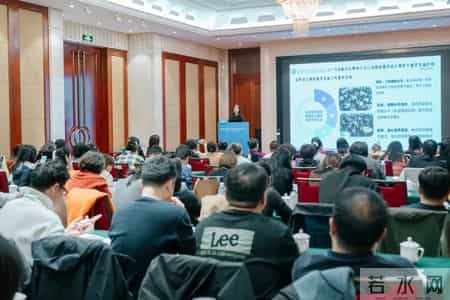 用字母表示数教学设计