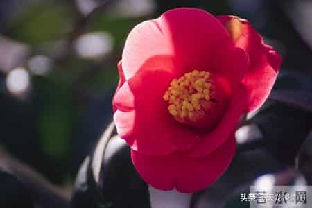 怎样做人,为人处世大全，建议收藏