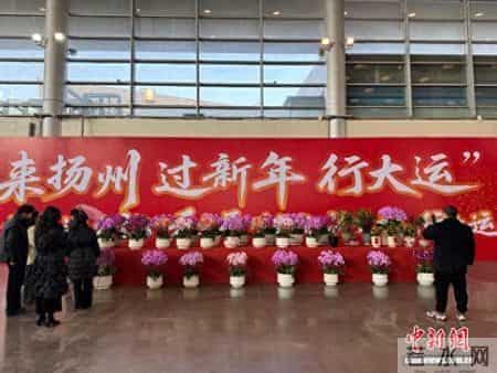 “青春视角 记录扬州年”大学生随手拍作品征集启动