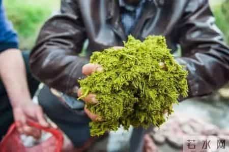 喝了一碗贵州牛瘪汤，味蕾像被野牛施了一泡农家肥