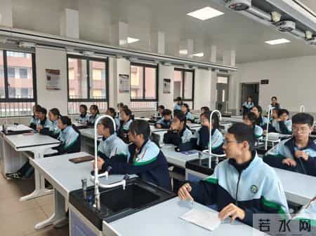 文学社活动计划