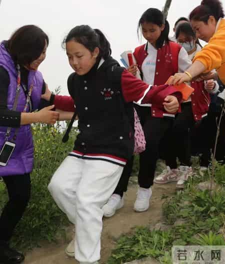 春天的课堂,赏春. 品春. 惜春 ——走进“春天的课堂”