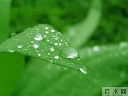 滴水穿石读后感,西岸书斋 - 《摆脱贫困》——滴水穿石的启示