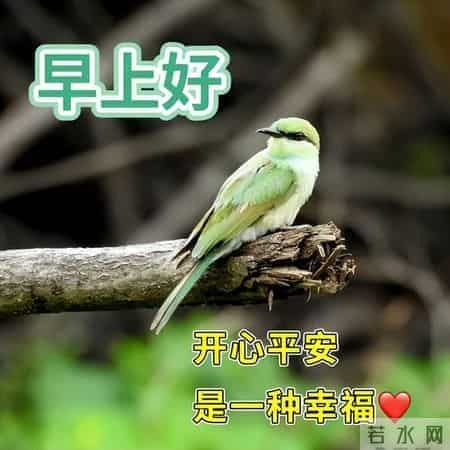 最新早上好祝福每天一句，早安暖心牵挂的句子，吉祥如意伴你左右