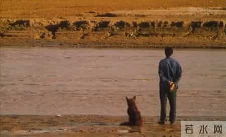 背起爸爸上学,背起爸爸上学高清完整版