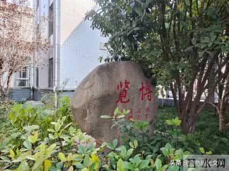 小核桃 yóu动物园 自我介绍