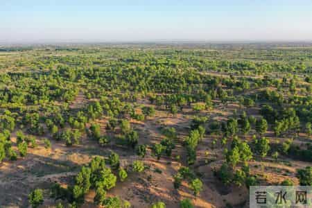 六年级科学下册教学计划,智能装备挺进沙海 内蒙古走出科技治沙新路径