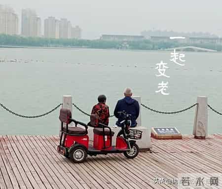 关于爱情文章,关于爱情文章素材