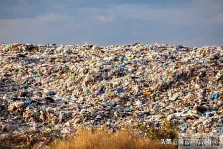 变形记,如何写出故事感——阿宝老师的“作文经”(二二七)