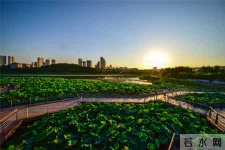 大雁塔英文导游词,大雁塔英文导游词简单