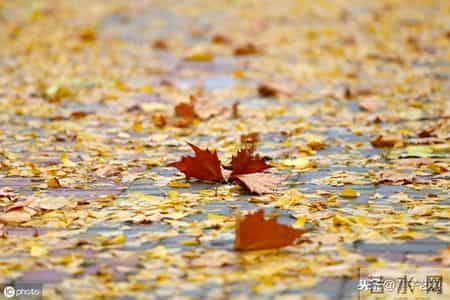 七绝《己亥立冬时节怀感》十二首