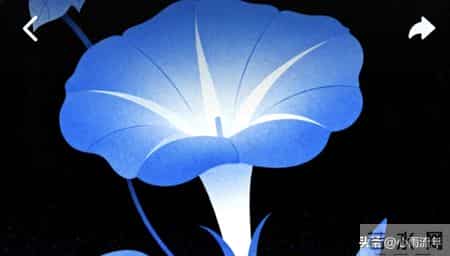 律师委托代理合同