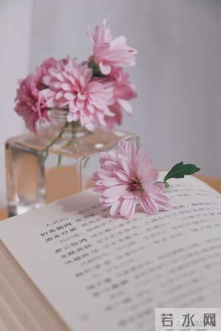 读书的好处英语作文