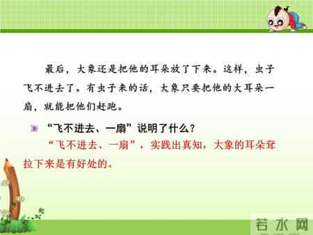 二年级语文下册《大象的耳朵》课文学习及课本习题参考答案