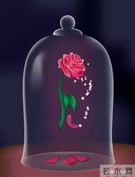 童话故事《美女与野兽》，真人版相比动画版在哪些方面与时俱进？