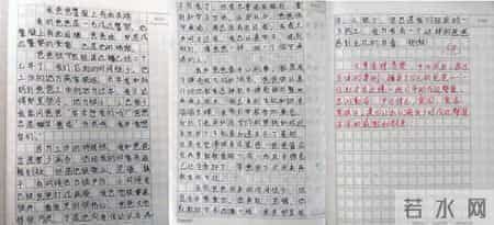 这篇小学生作文，评语：优！