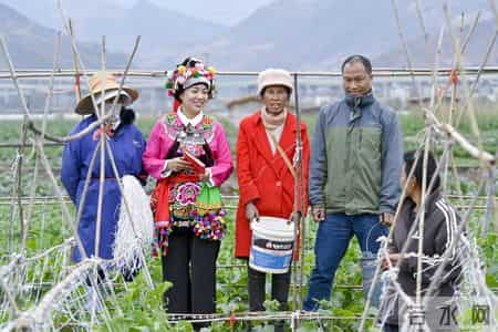 让真情自然流露作文450字左右,我的光影故事2025｜在无量山间，我用镜头读懂乡土中国