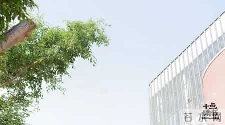 人际交往基本常识,人际交往中的25个小常识