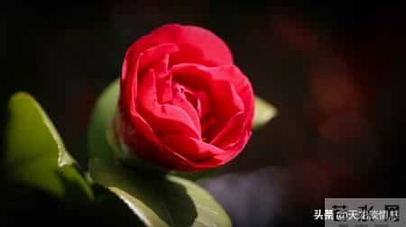 怎样做人,为人处世大全，建议收藏