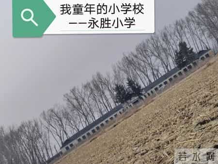 我想起小学年代的经典作文题目《上学路上》