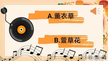 班级元旦晚会策划书,2026元旦班级联欢晚会活动主题班会PPT+逐字稿：星光闪耀迎新夜