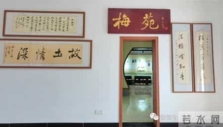 楼兰的忧郁读后感,乡情悠悠寄芳华