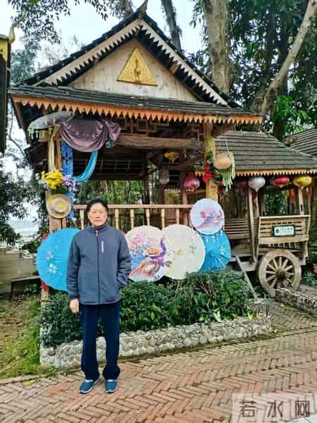 美丽的西双版纳作文,美丽的西双版纳作文400野象谷