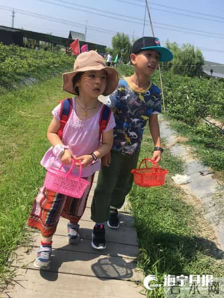 什么给我带来了快乐