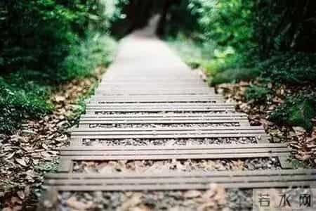 席慕容 青春,席慕容：青春是一本太仓促的书，我们含着泪，一读再读