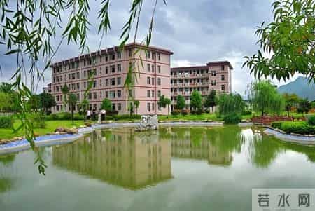 跨越百年的美丽教学设计