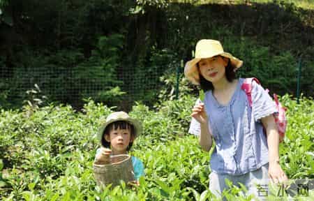 三八节活动方案