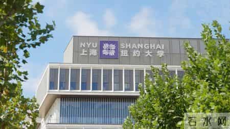 上纽大公布2025届本科毕业生去向，89%毕业生在非原籍国深造或就业