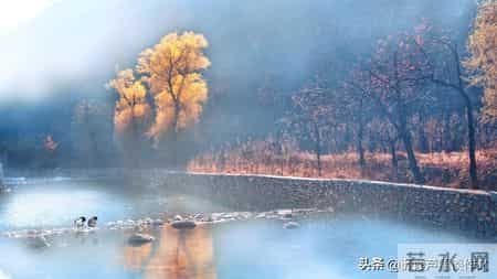 变形记,如何写出故事感——阿宝老师的“作文经”(二二七)