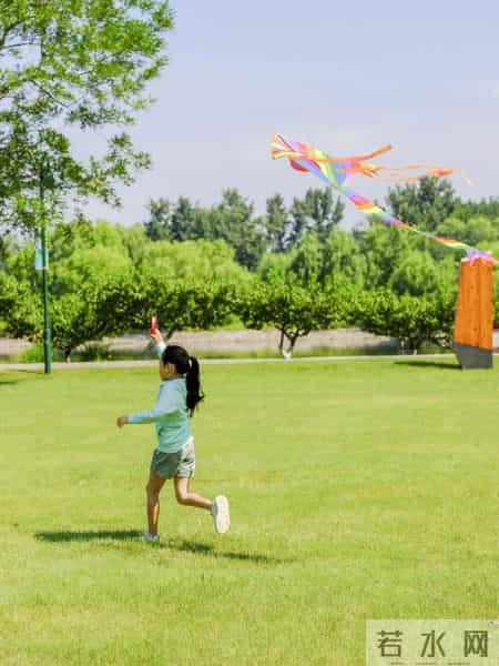 端午节的资料,端午节资料简介