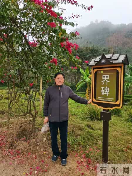 美丽的西双版纳作文,美丽的西双版纳作文400野象谷