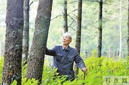 学习杨善洲先进事迹,杨善洲先进事迹观后感