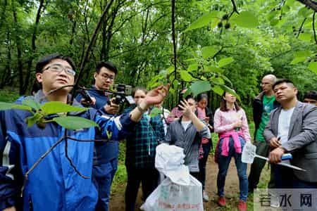 李时珍夜宿古寺,李时珍夜宿古寺阅读答案