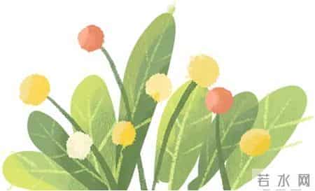 【情暖家乡 实践有我】文县青年学子暑期社会实践活动心得感悟来啦！