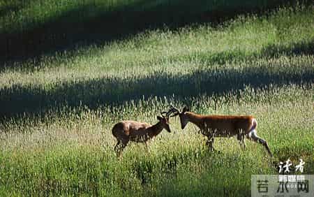 家庭趣事,莫泊桑《一家人》：一个家庭最可怕的不是贫穷，而是内耗