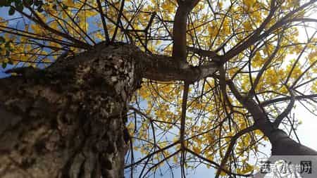伴君入眠,史上最孤独的一首宋词，意境高远，影响世人900年