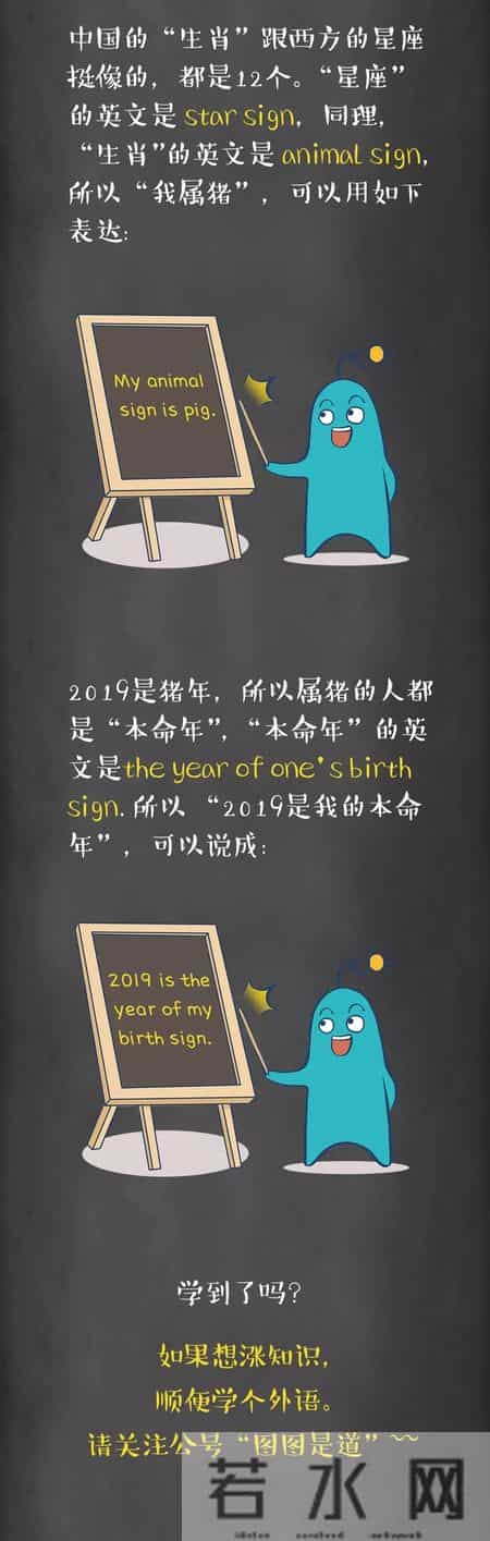 pig是什么意思,piggy是什么意思