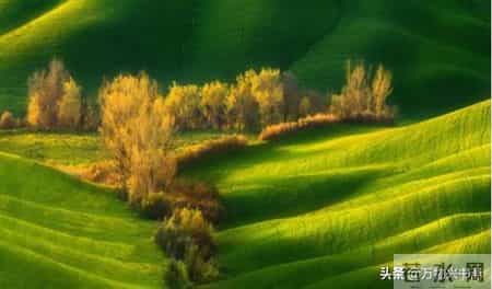 花落有声,「万物兴书斋」王忠敏书法作品鉴赏《流水无意 落花有声》