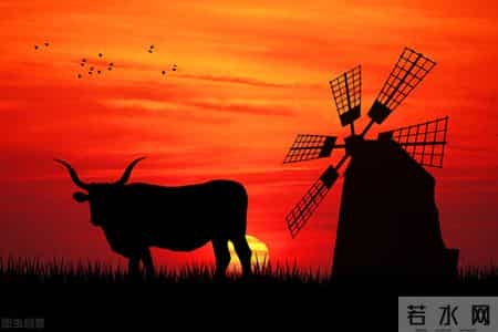 放学路上作文三年级,放学路上作文三年级上册怎么写