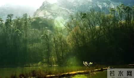 江北地图 - 最全春游打卡地，速度收藏起来！