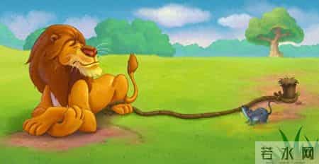 幼儿园中班游戏教案,中班音乐游戏教案:熊和蜜蜂教案及教学反思