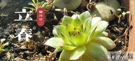 小年在立春之后，俗语“小年晚过春，送灶忙赶婚”，有道理吗？