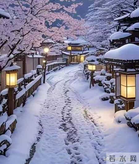 鲁迅先生笔下的“雪”