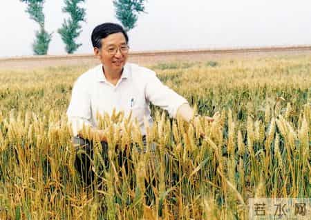 关于科学家的小故事