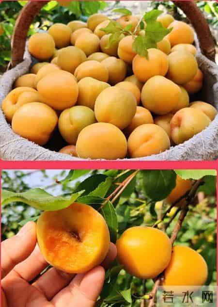 国学经典贤文观后有感